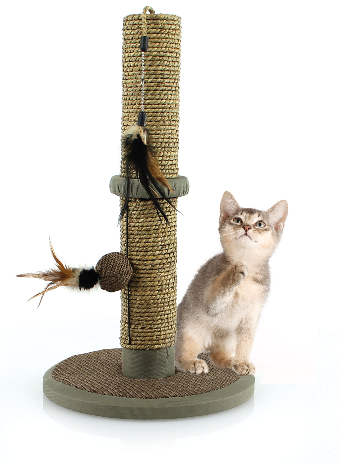 swisspet Kratzsäule Naturo