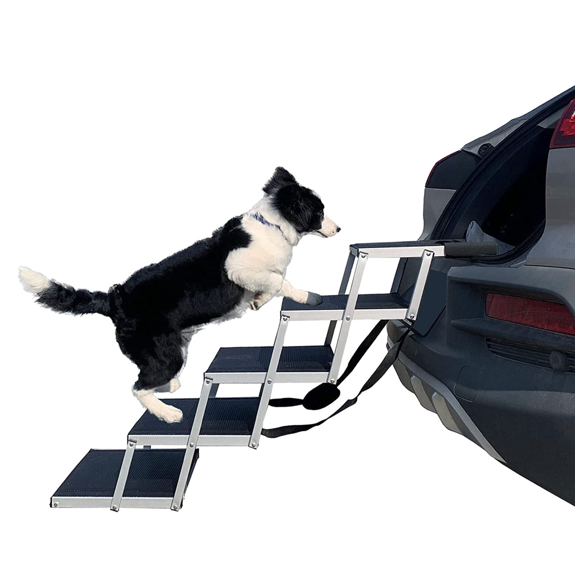 swisspet Escalier en aluminium pour chiens 5 niveaux, poids 4.3 kg