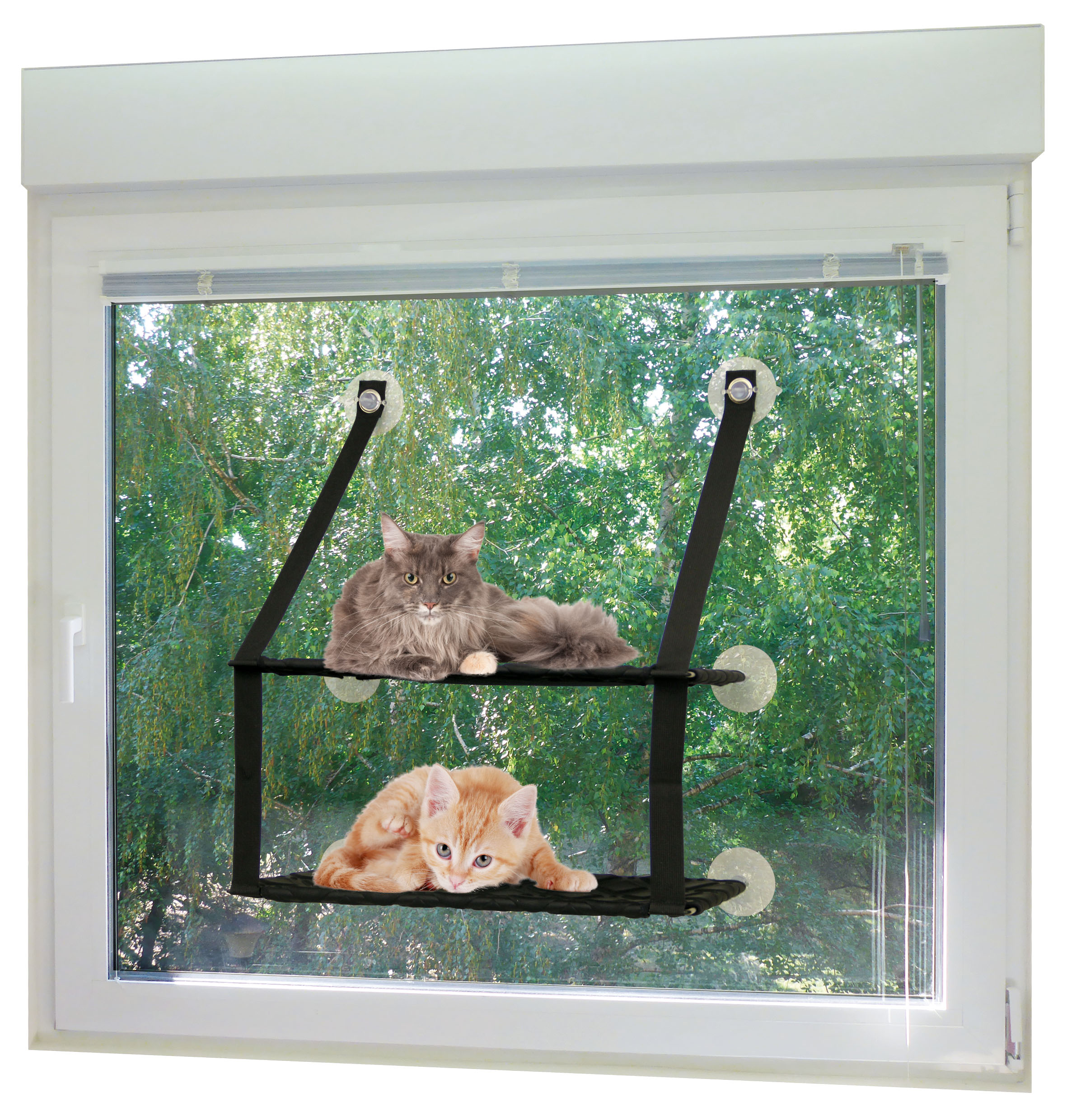 swisspet gatto amaca gatto due volte