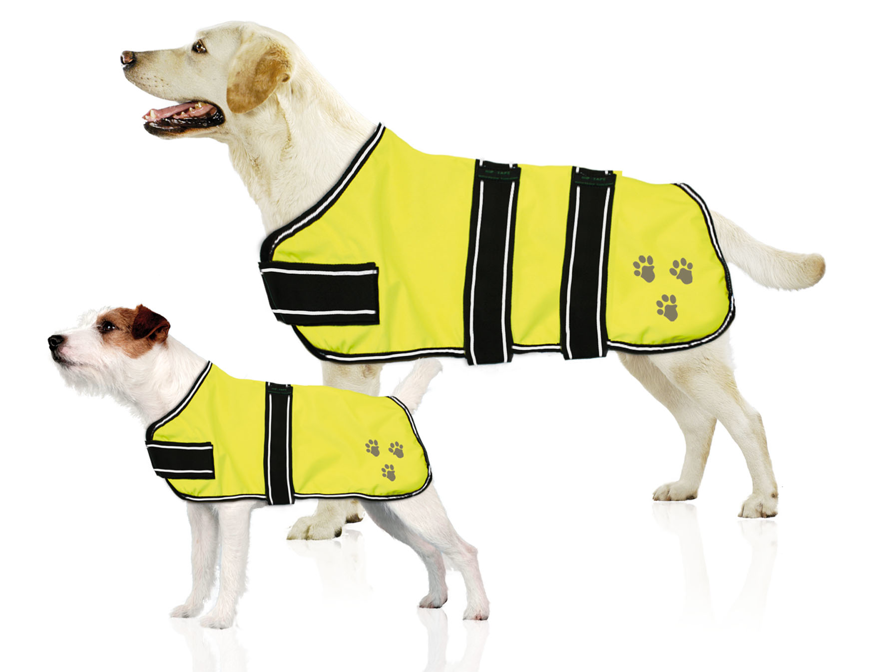 swisspet Cappotto leggero per cani Nightdog