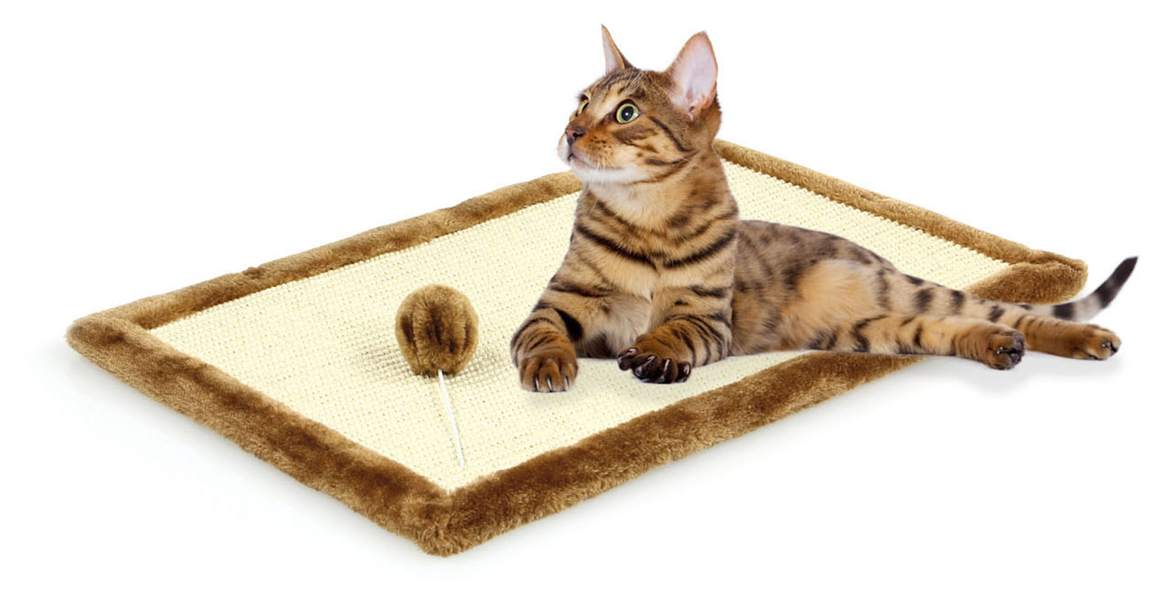 swisspet Kratzmatte Felipe mit Catnip