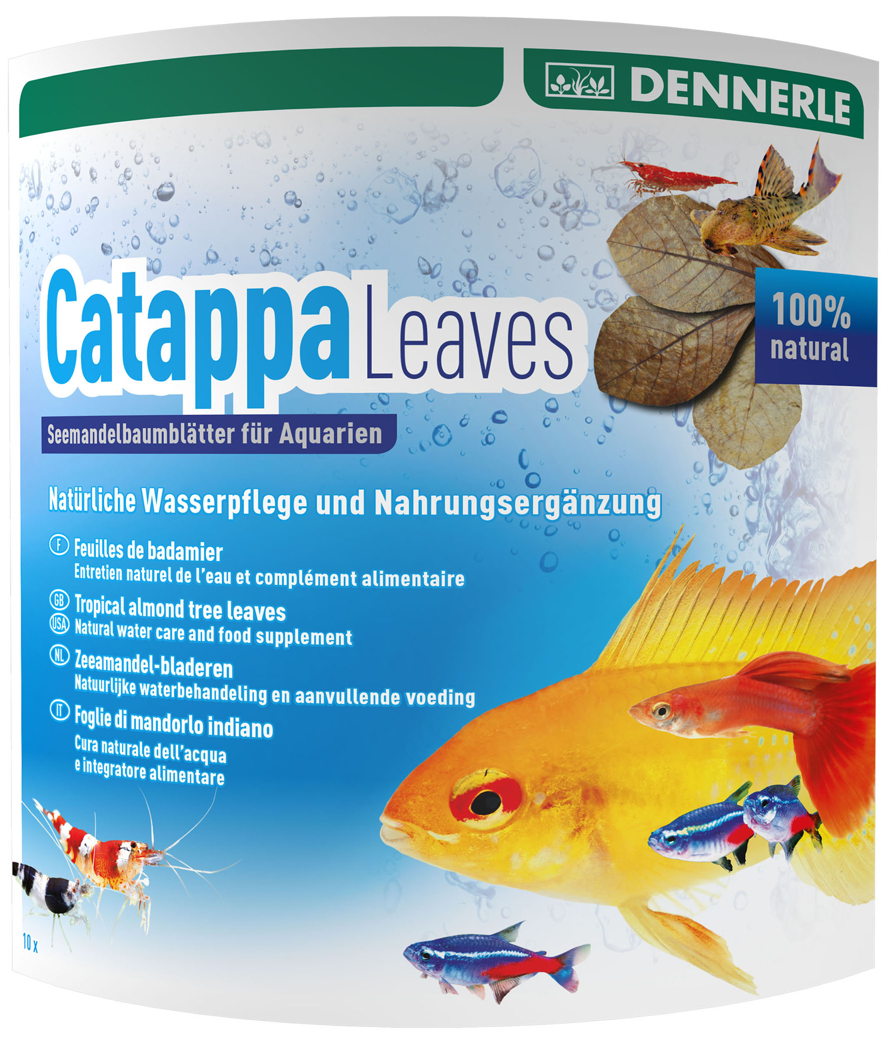 AquaRico Feuilles de badamier terminalia catappa 10 pièces pour 800l