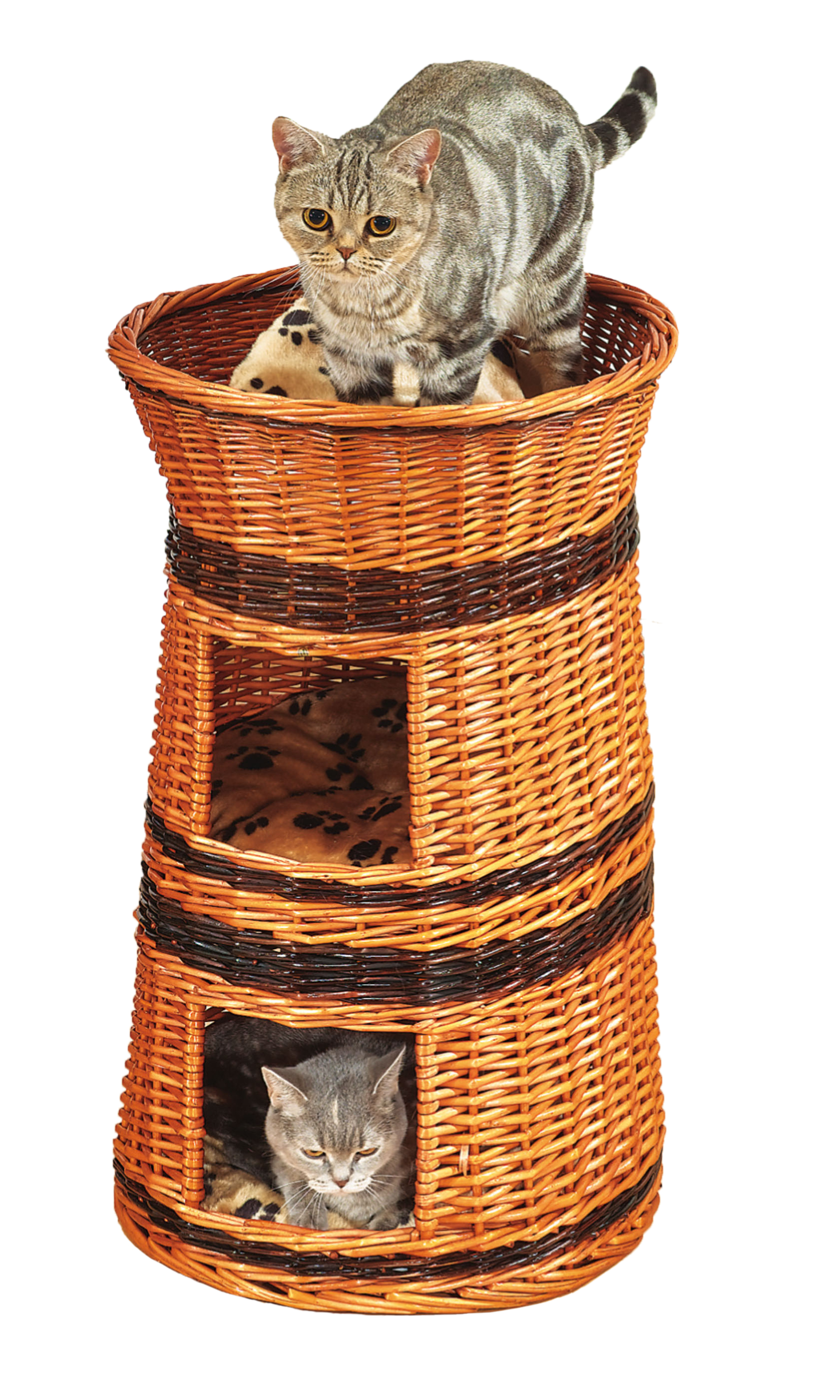 swisspet tour double habitable en osier