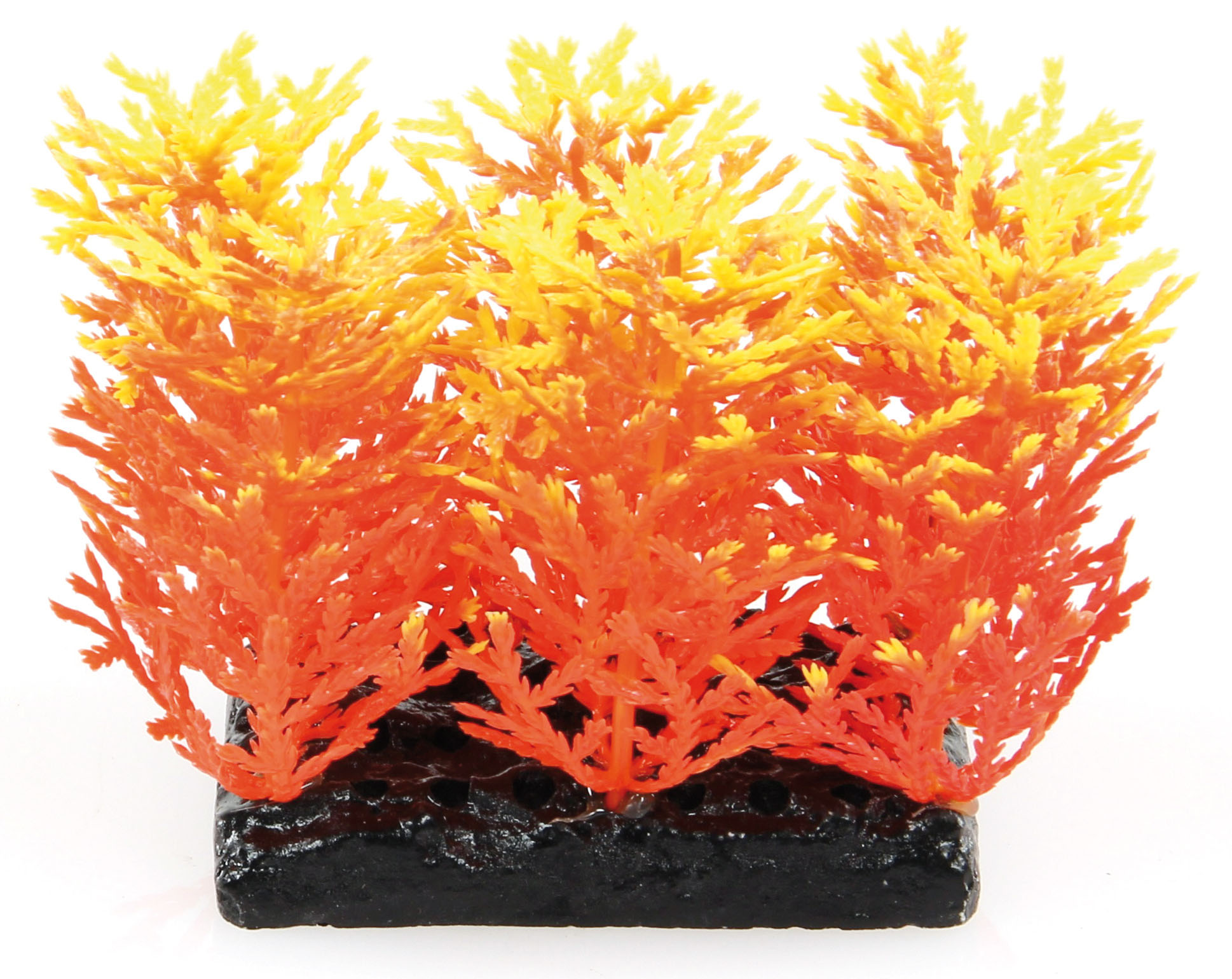 Amazonas Fantasy Plant PP orange