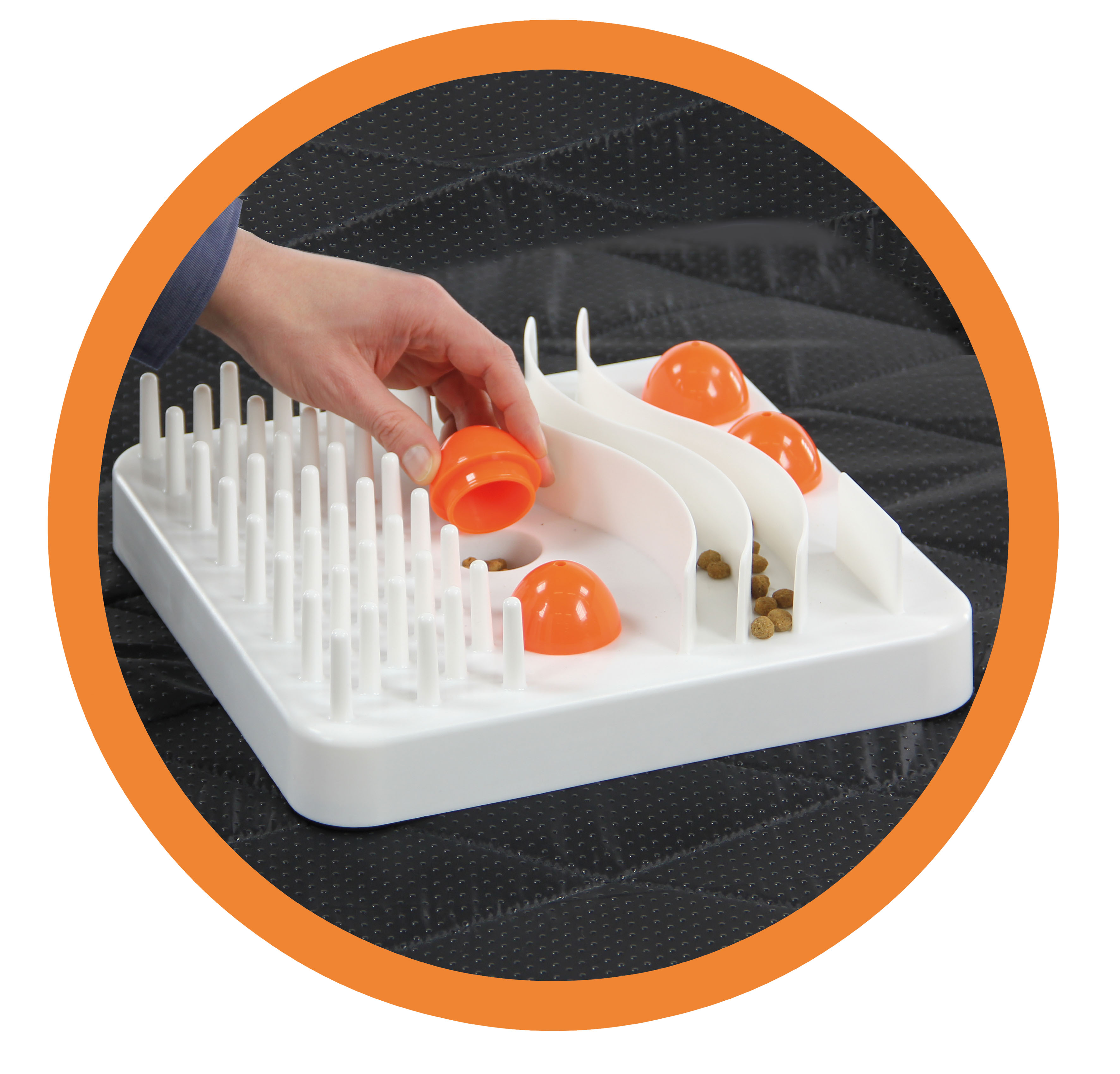 swisspet Cleverplay Cat IQ Training