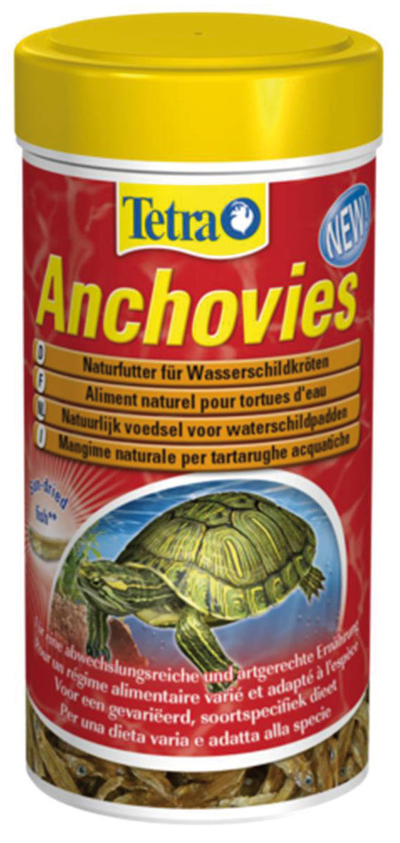 Tetra Anchovies