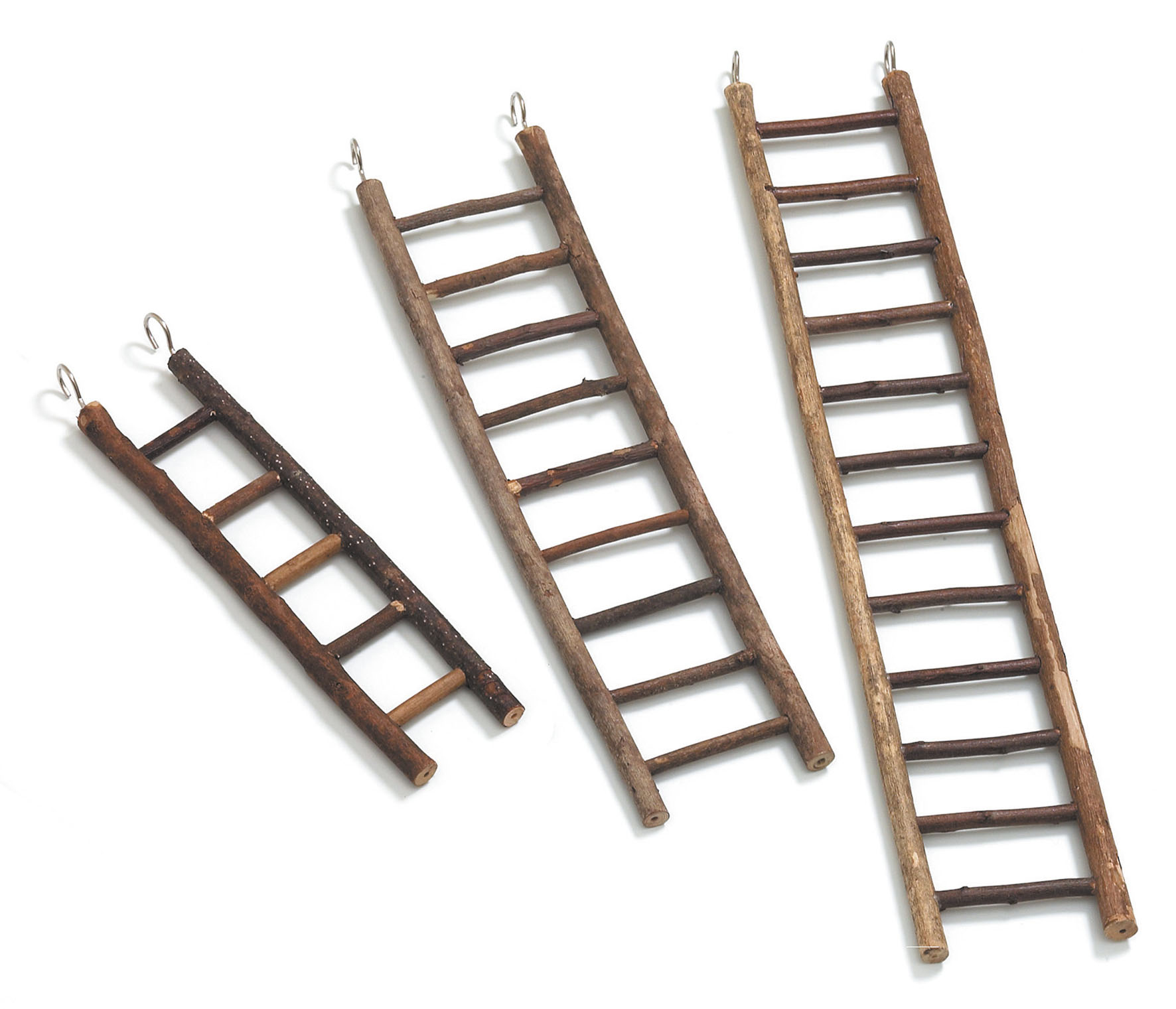 swisspet Echelles pour perruches en bois naturel