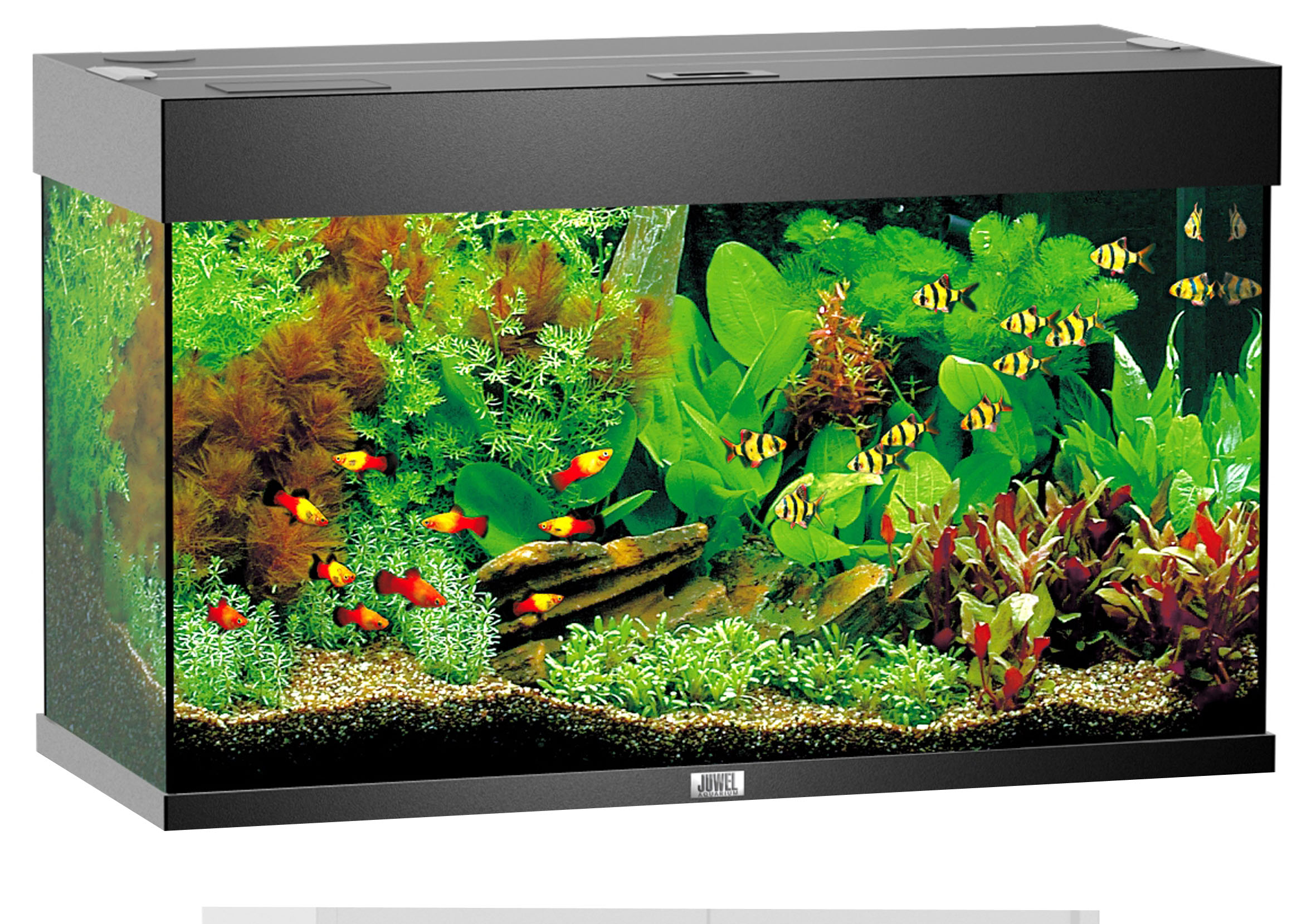 Juwel Aquarium Rio 125, schwarz