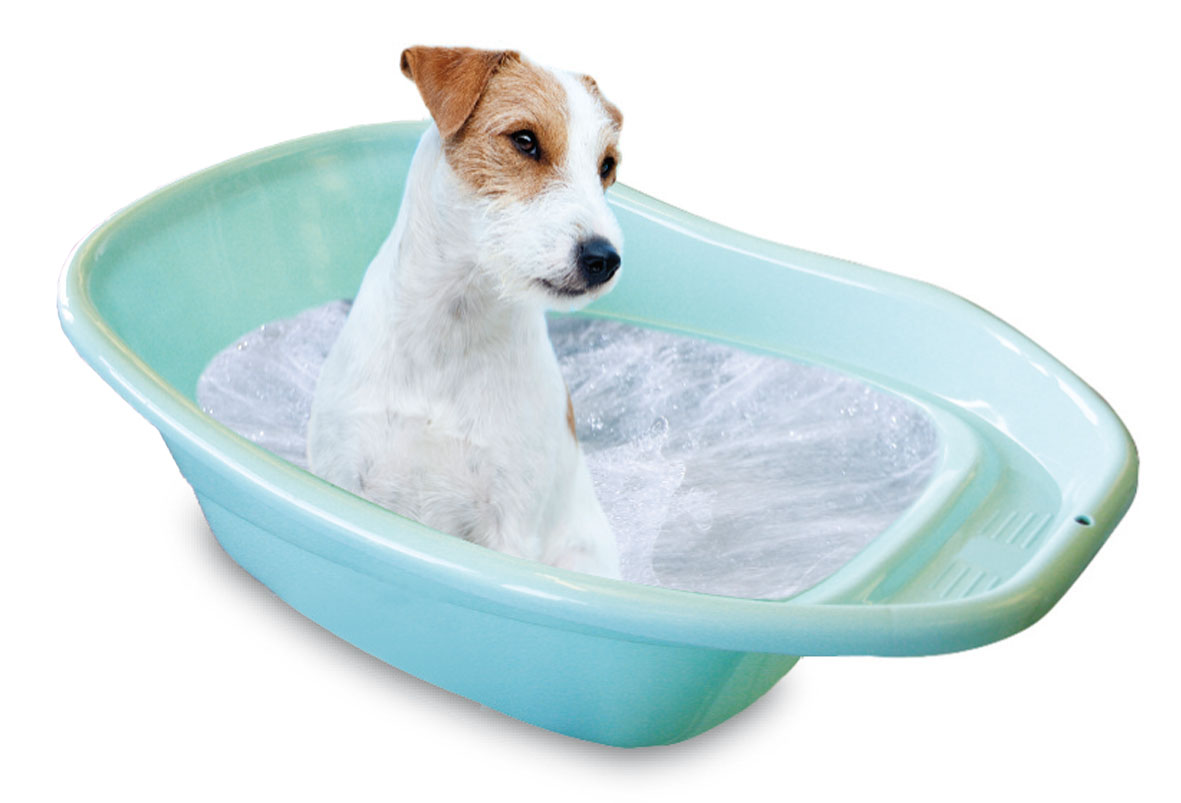 vasca da bagno swisspet per cani di piccola taglia