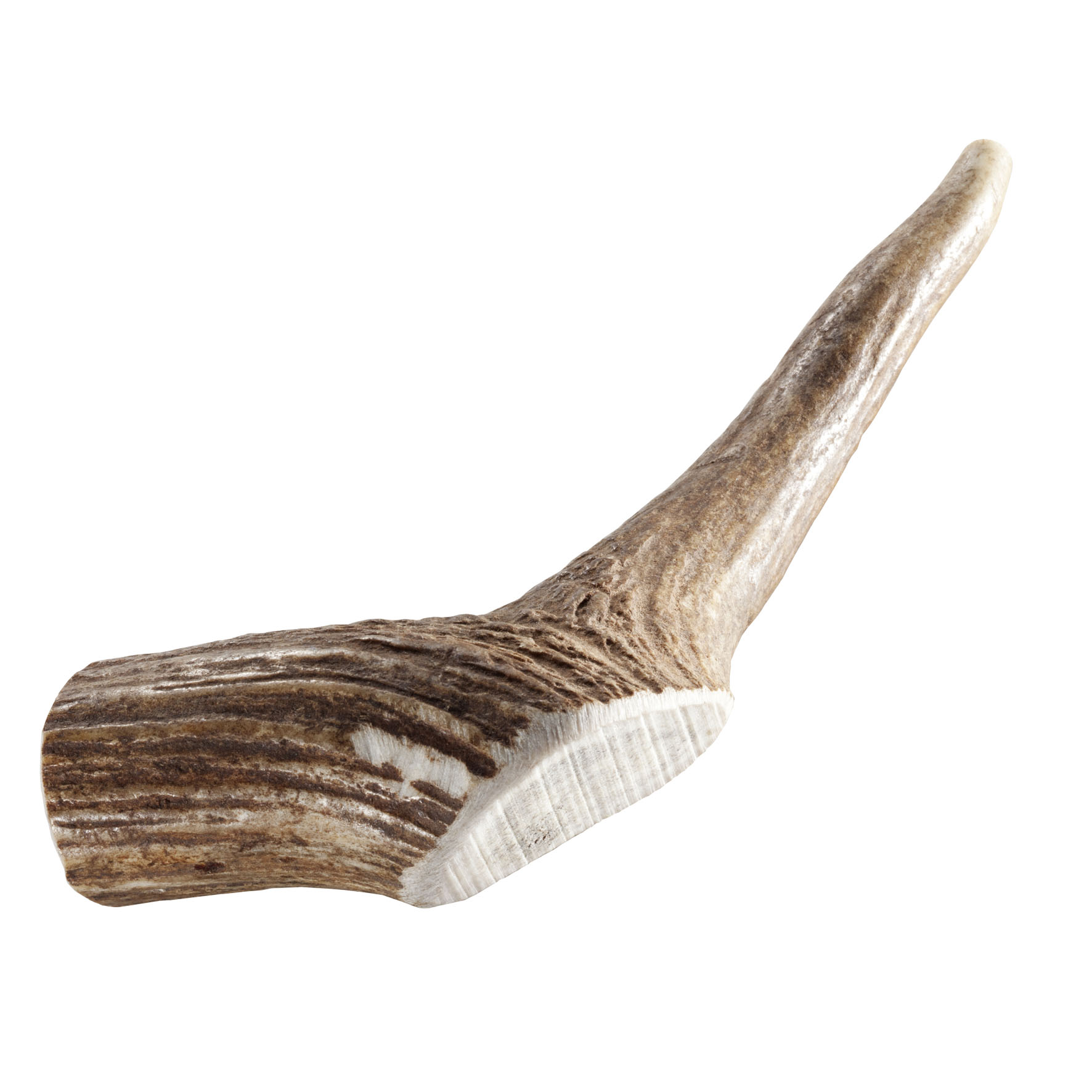 Chewies Rothirsch-Geweihstange S 