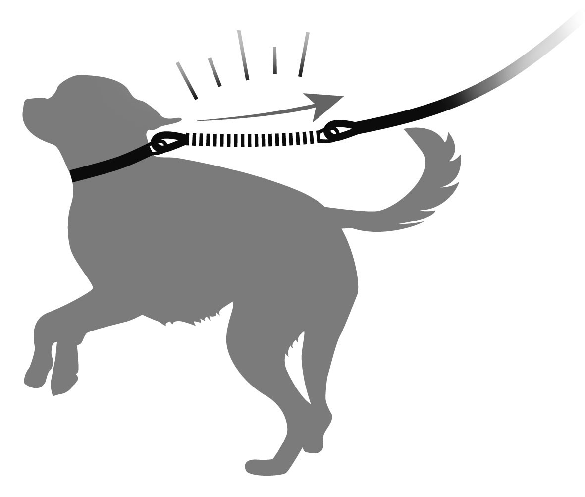 Swisspet Leinen mit Zugbremse