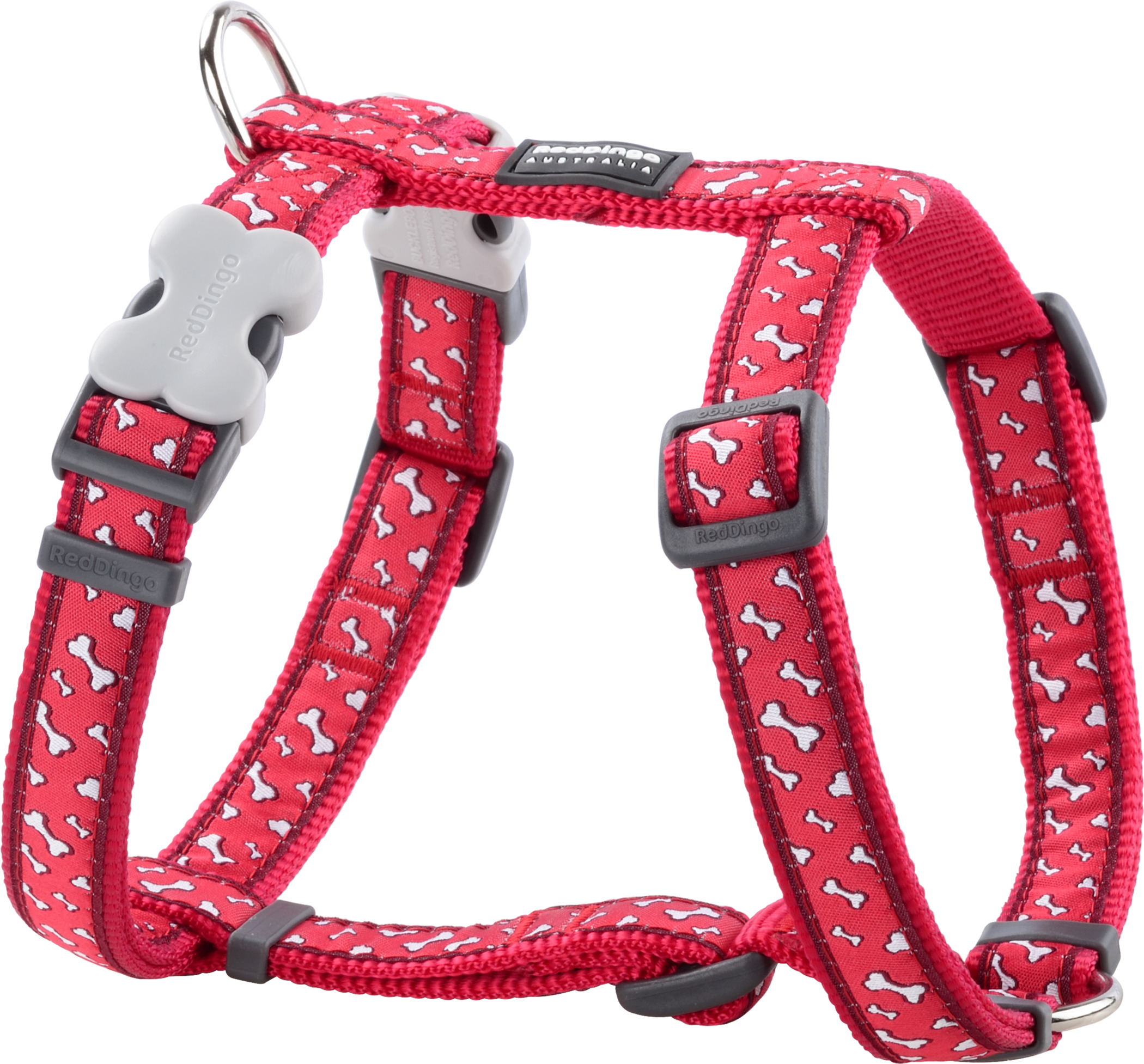 RedDingo Geschirr Flying Bones Rot XS