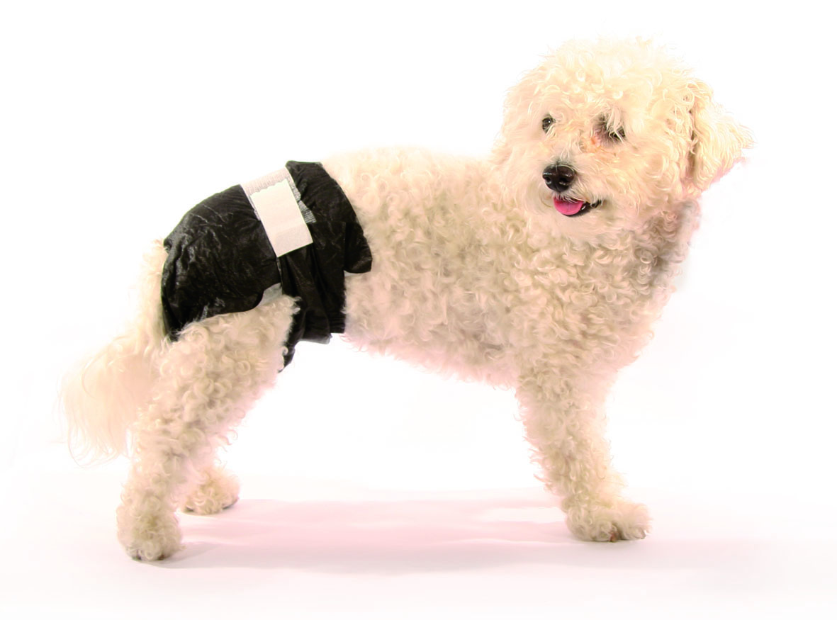 Doggy Pamy Pannolini usa e getta per cani