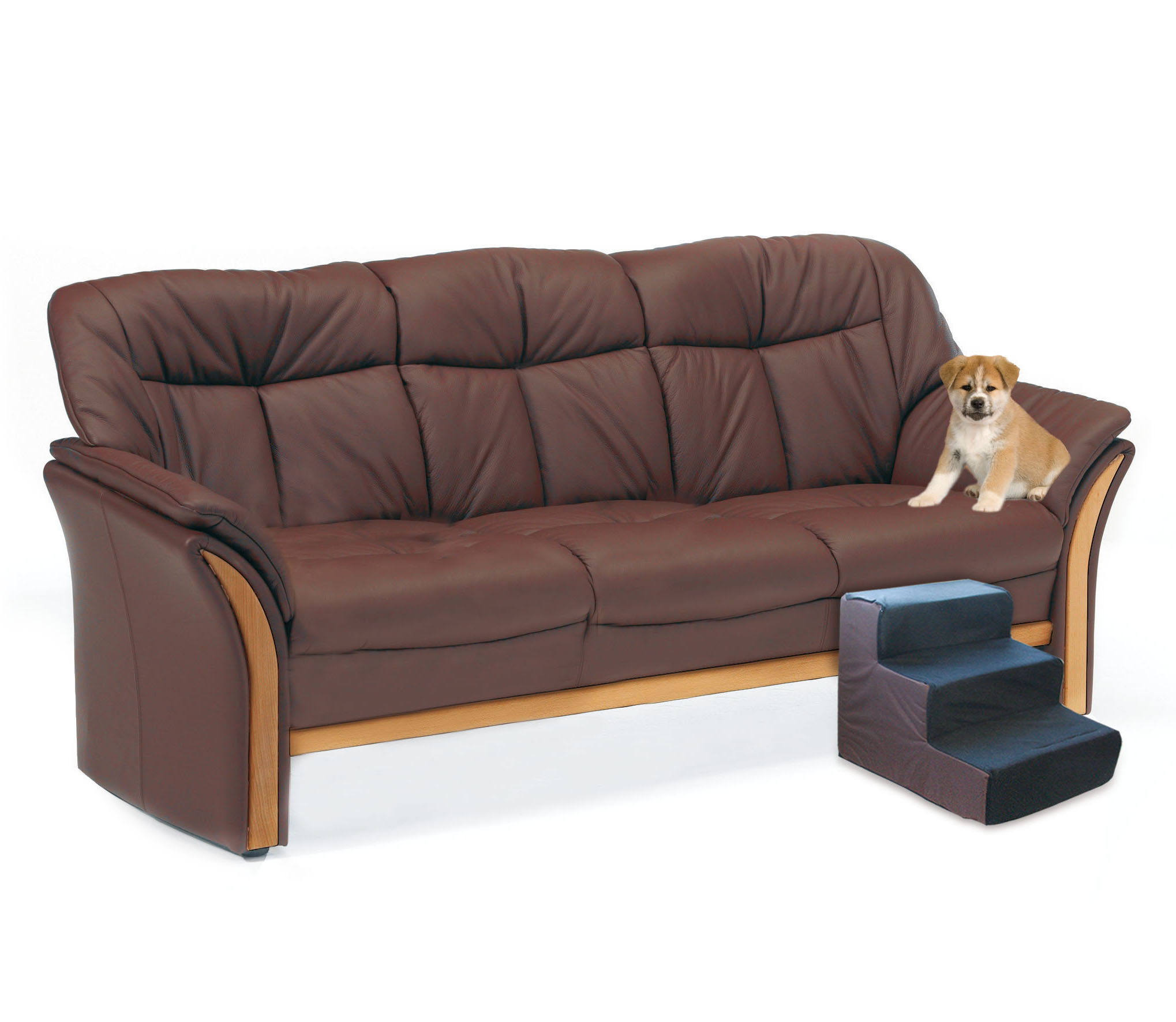 swisspet Scale per cani Tibbo