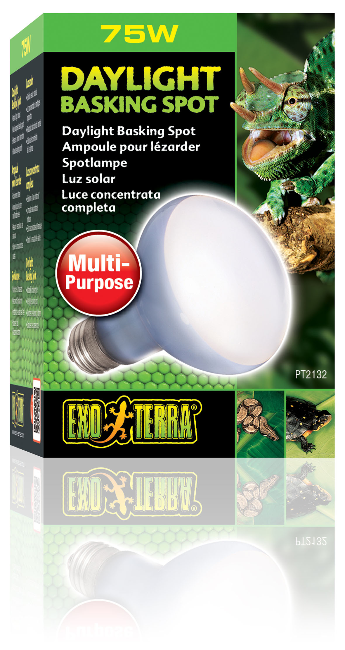 Exo Terra Daylight Basking Spot