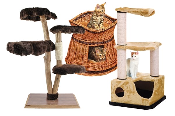 Katzenmöbel