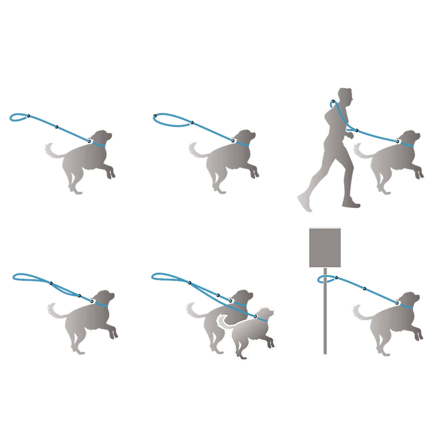 swisspet SwissLine collier et laisse