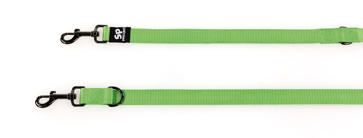 TrendLine ONE laisse