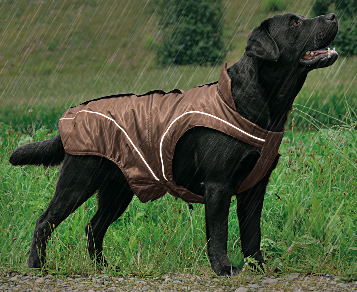 swisspet climaro giacca invernale per cani, marrone