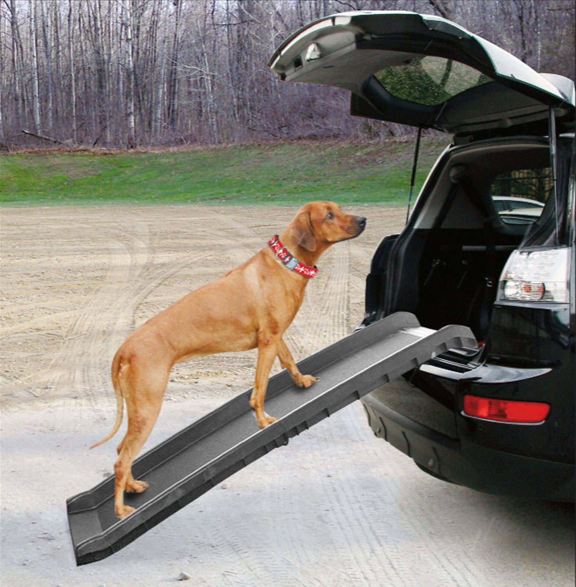 swisspet Auto rampa per cani Go In