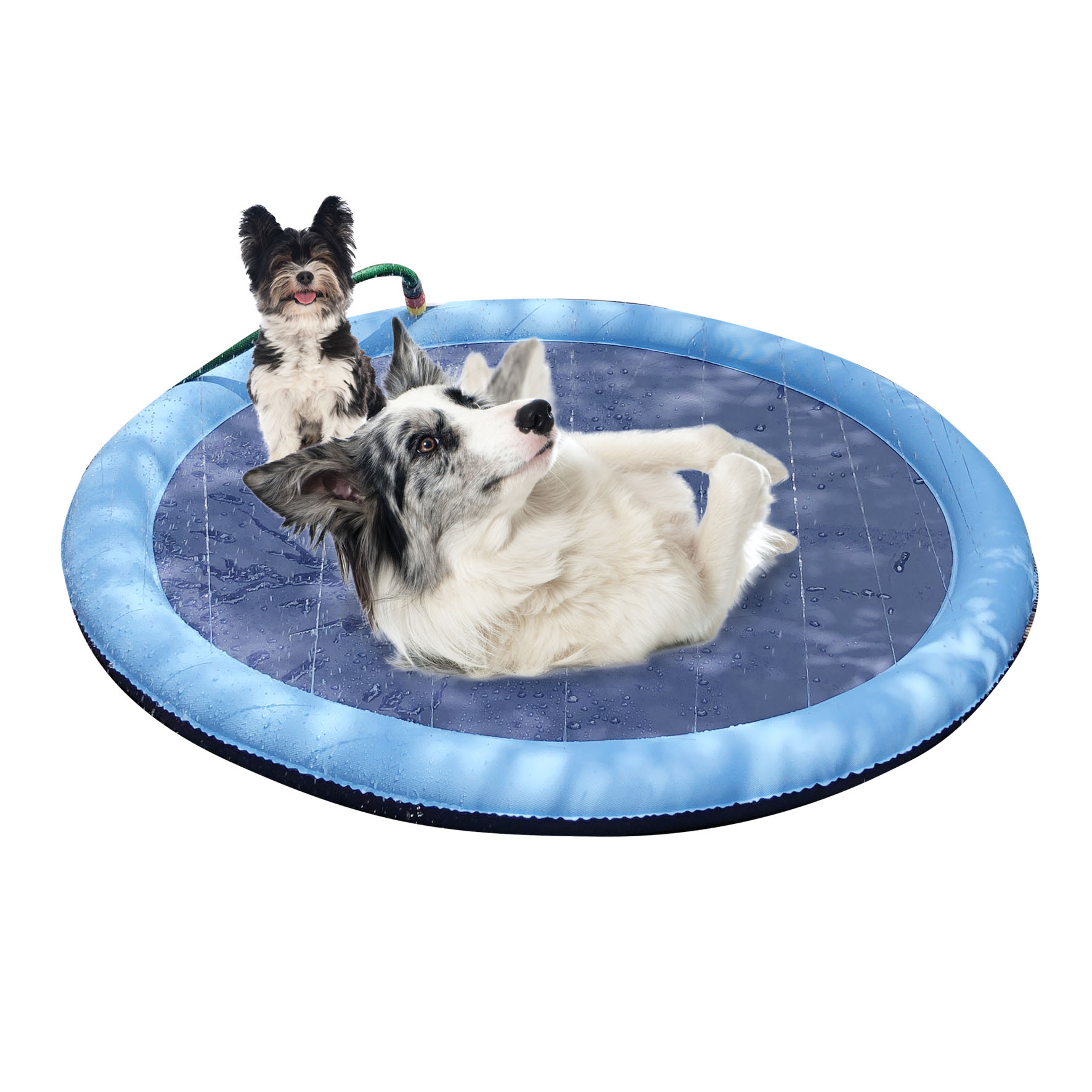 swisspet Hundedusche Sunshine