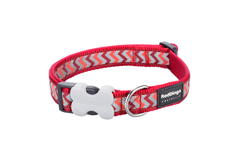 RedDingo Halsband Reflective Ziggy Rot, L: 25mm/41-63cm