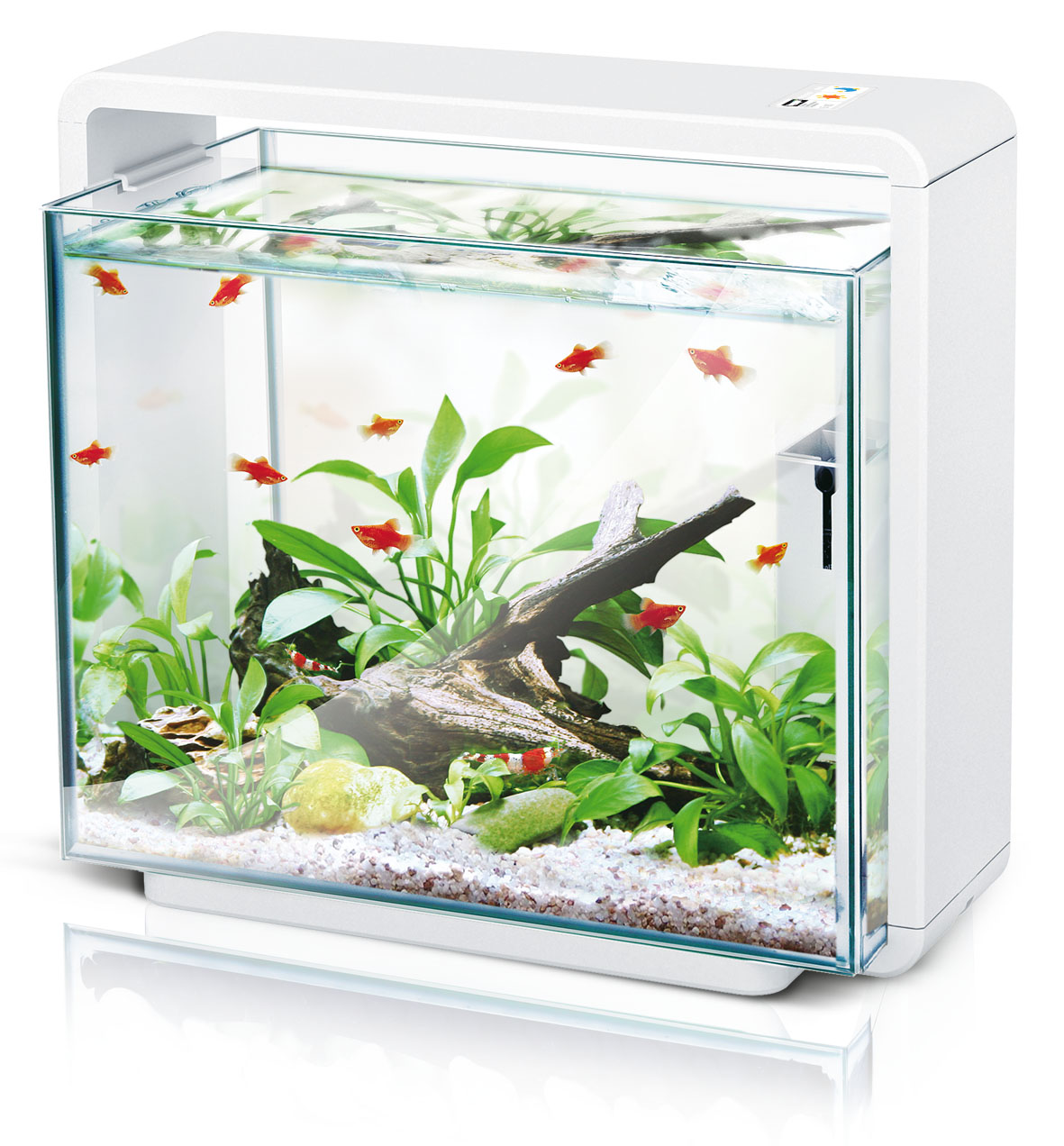 Amazonas LED Aquarium E40, weiss