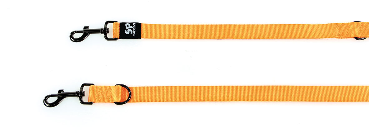 TrendLine ONE laisse