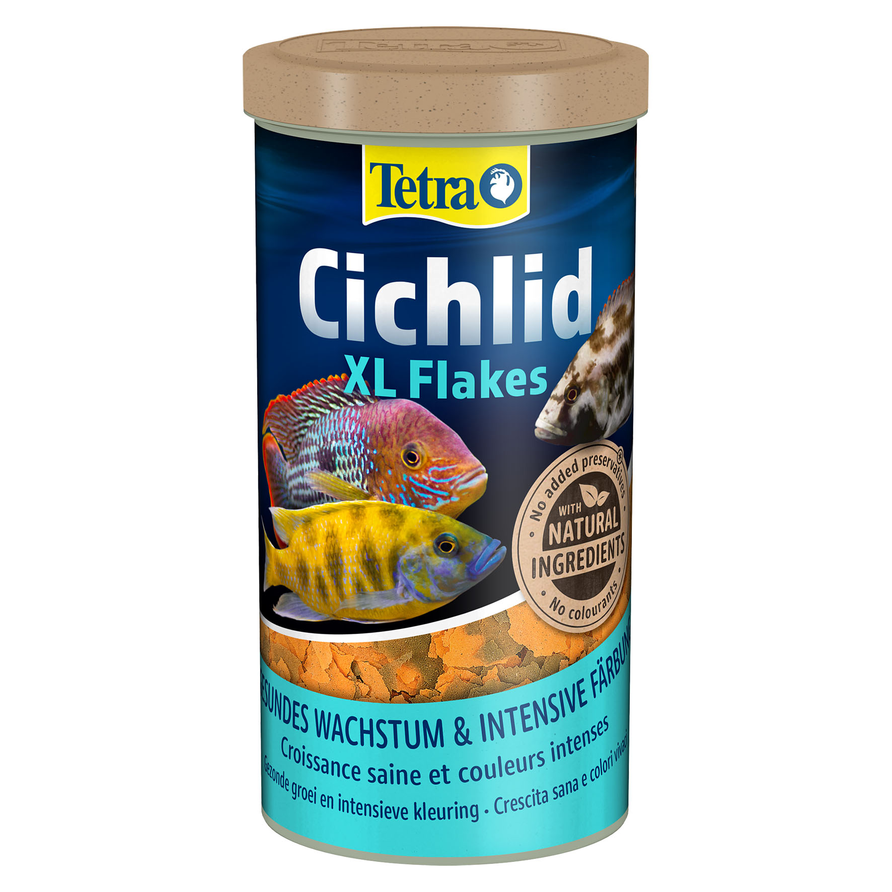 Tetra Cichlid