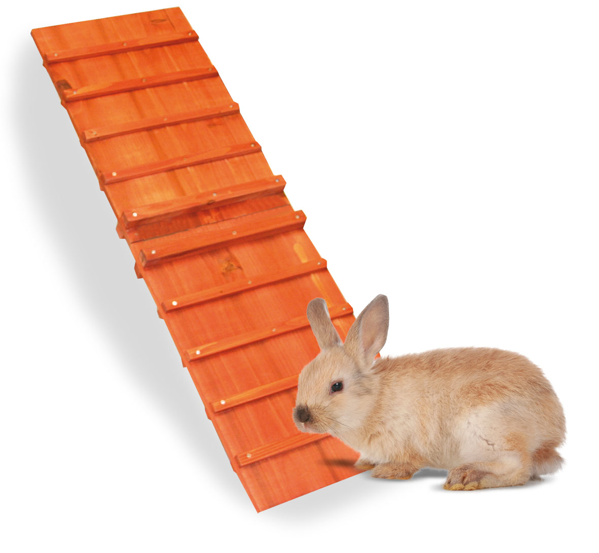 Universal-Steg, faltbar 26x80cm