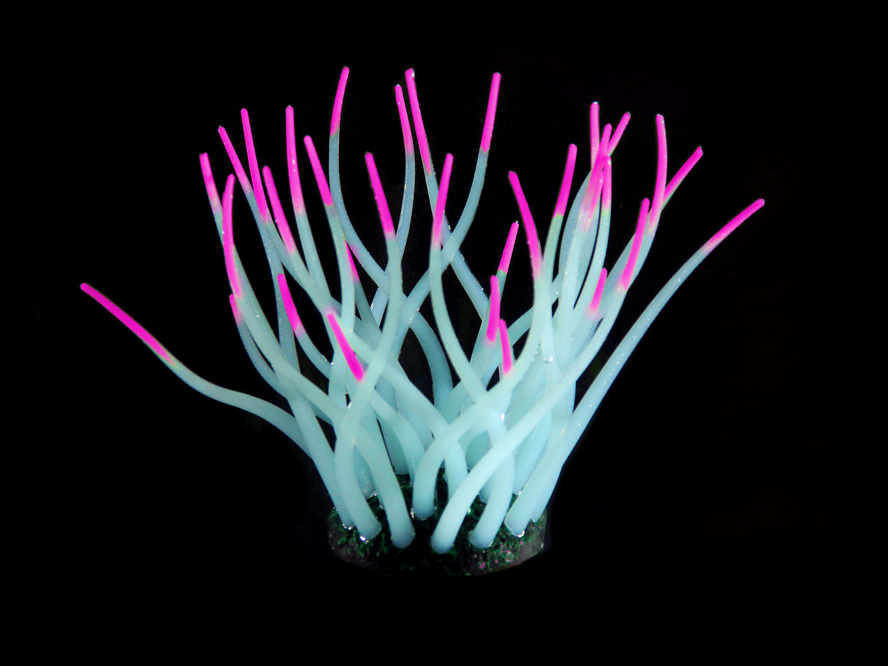 Amazonas Kunststoffpflanzen FLUO Sea-Anemone, hellblau/pink