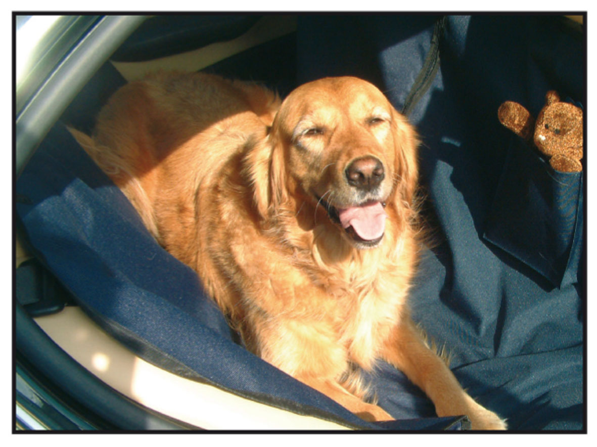 swisspet Autoschondecke Easy