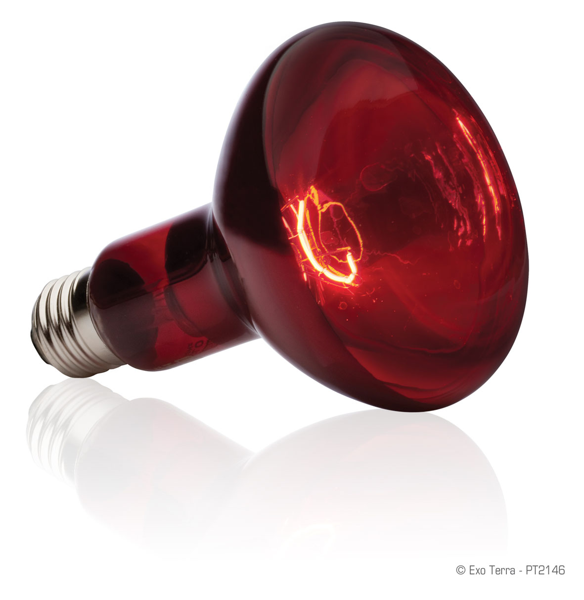 Exo Terra Lampe chauffante infrarouge