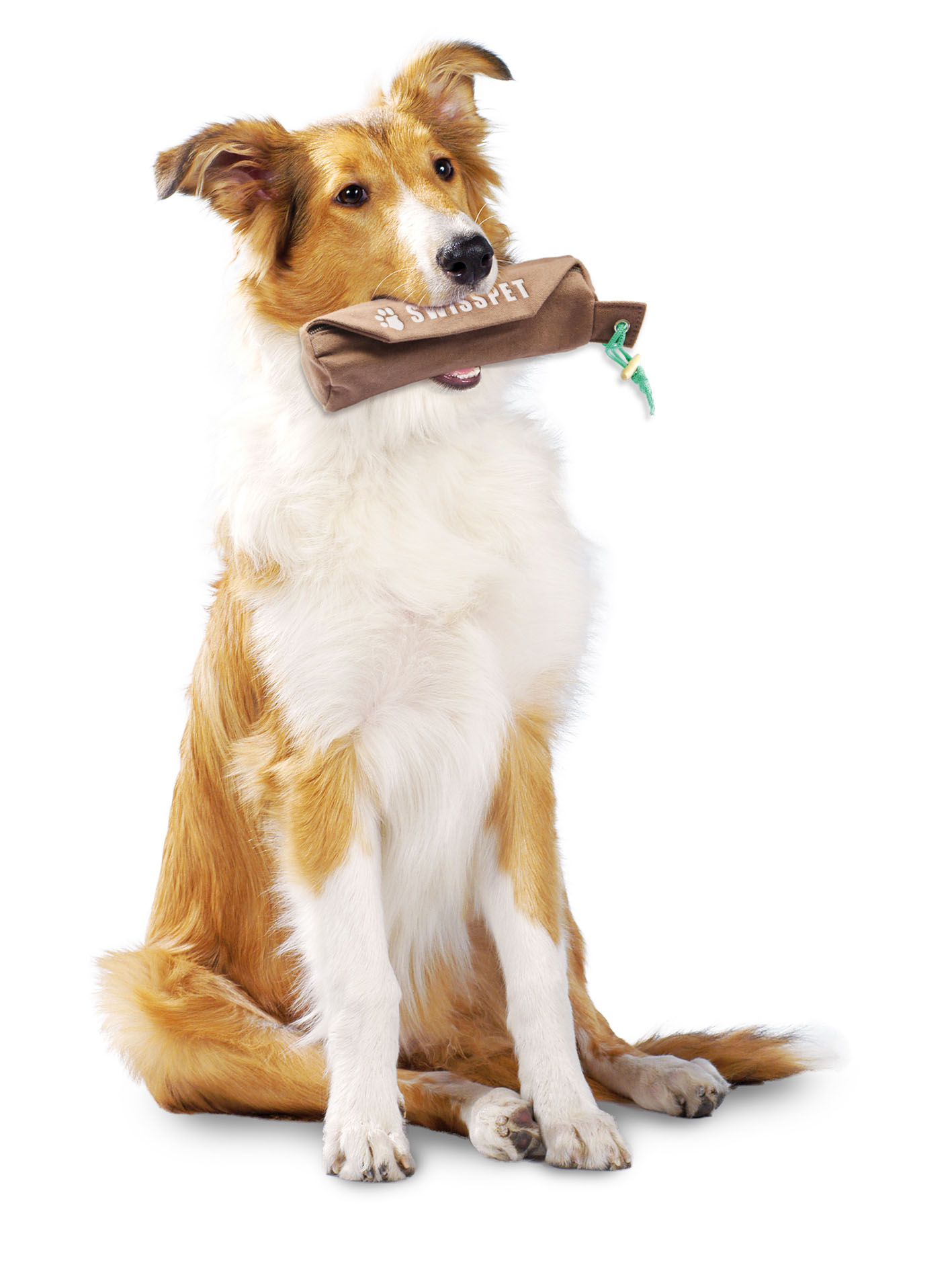 swisspet Snack Dummy, XS: ⌀5cm/L=12cm