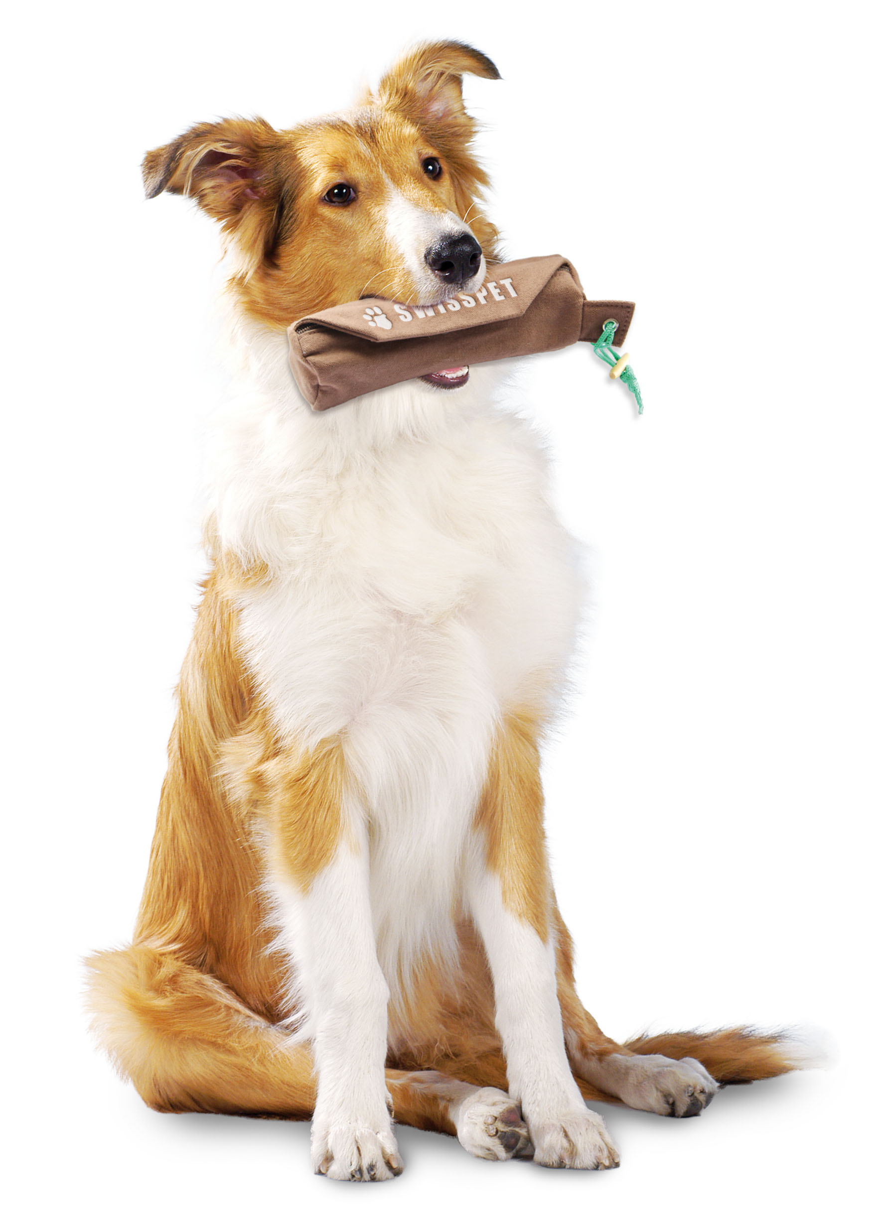 swisspet Snack Dummy, brun, XS: ⌀5cm/L=12cm