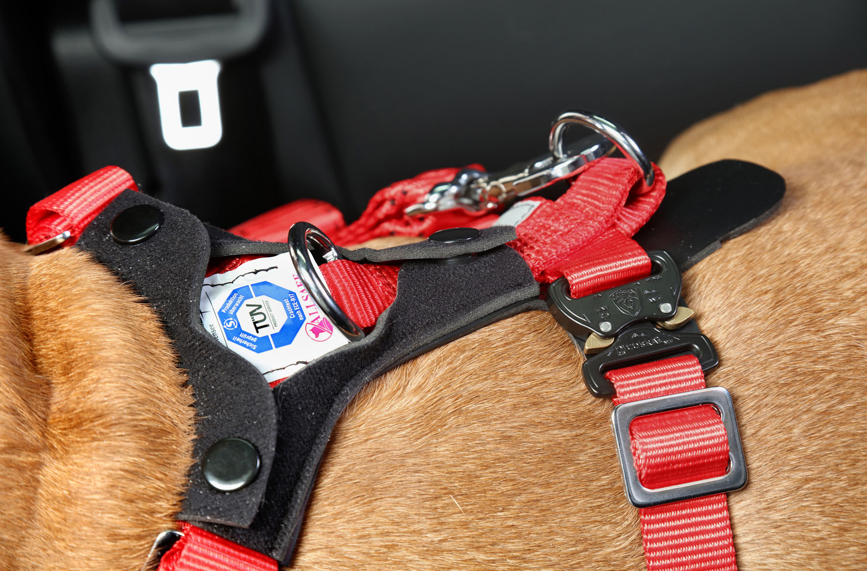 Allsafe Comfort Ceinture de sécurité XL