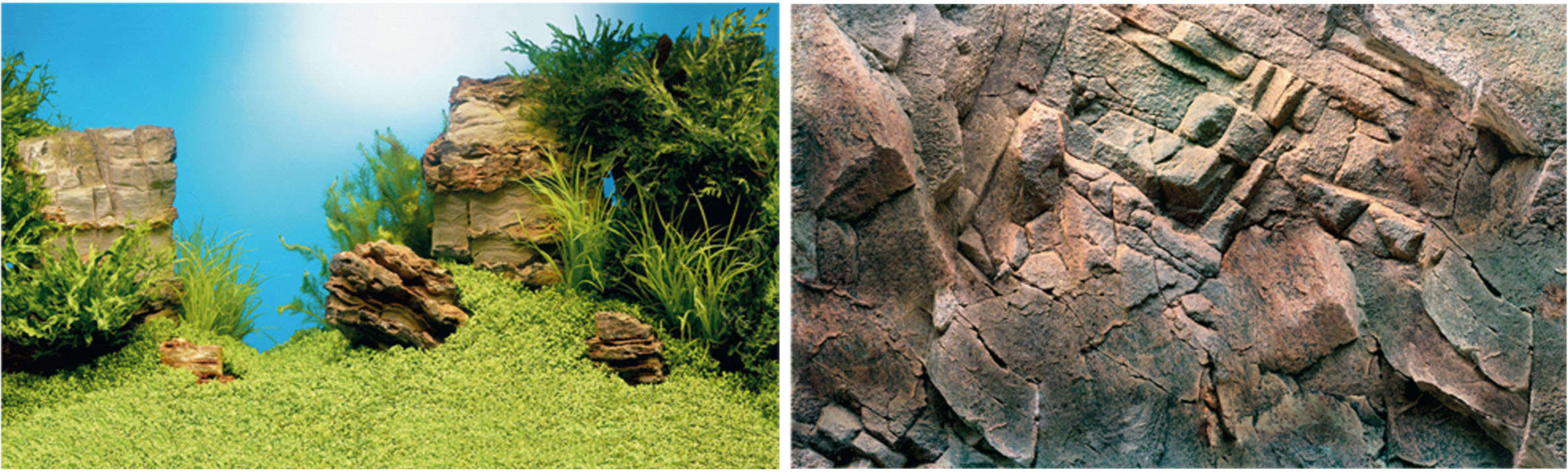 Juwel Fotorückwand Motiv 1