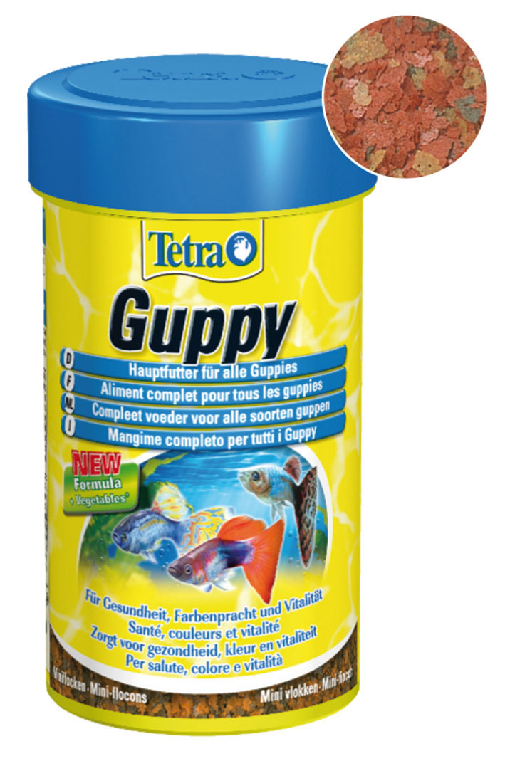 TetraGuppy