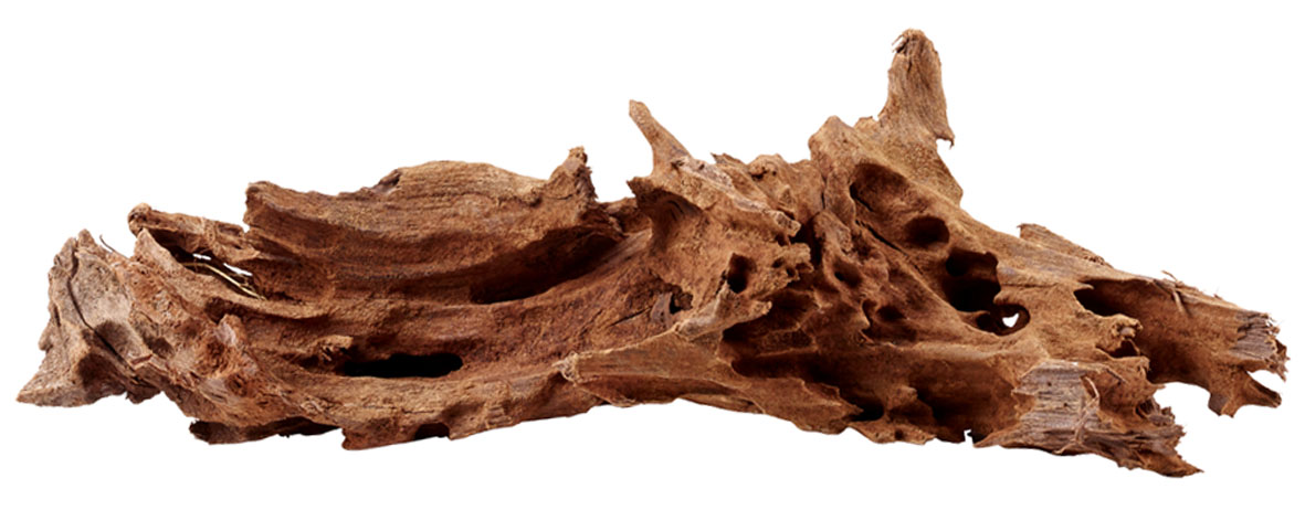 Amazonas Legno di mangrovia