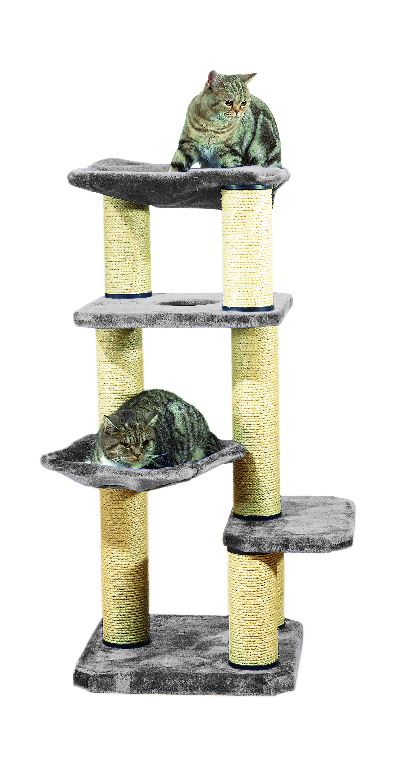 swisspet Kratzbaum Anita, grau