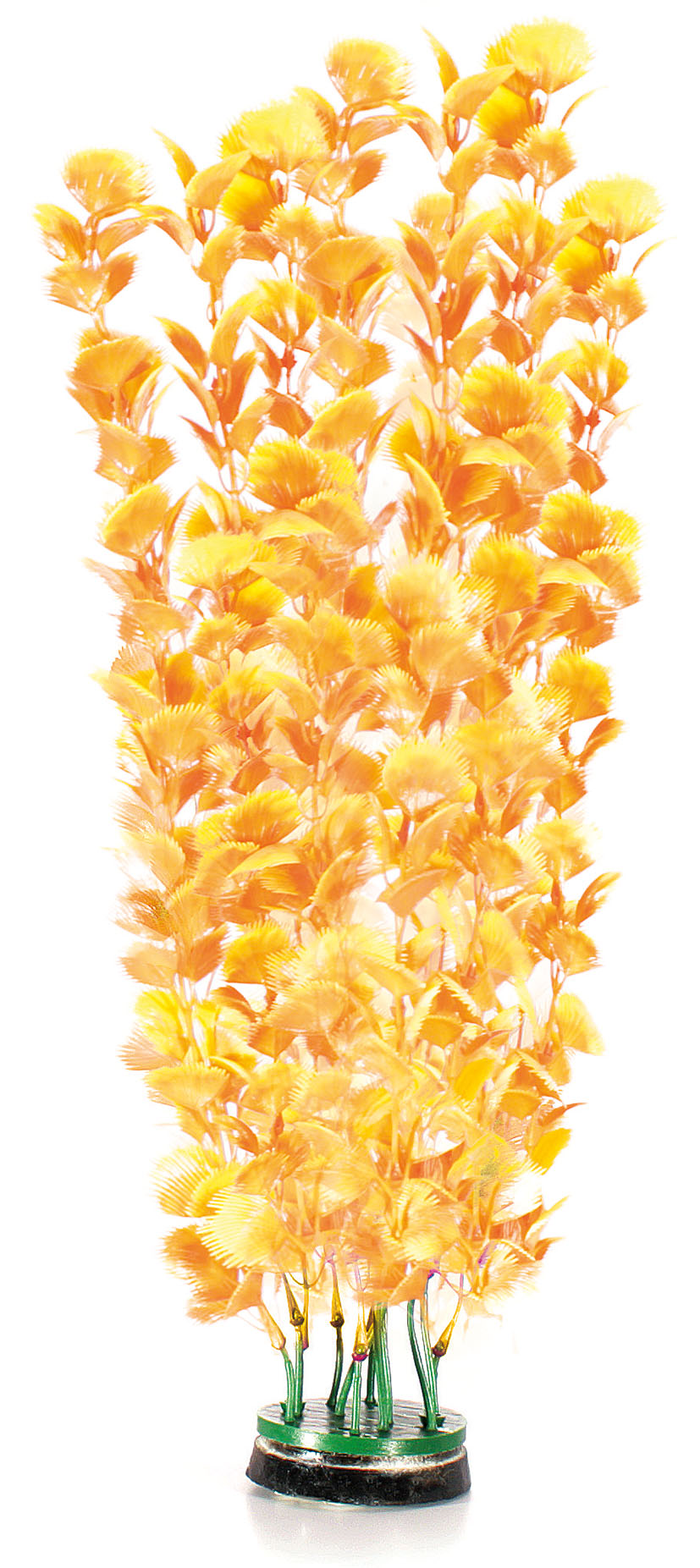Amazonas Fantasy Plant M jaune-orange