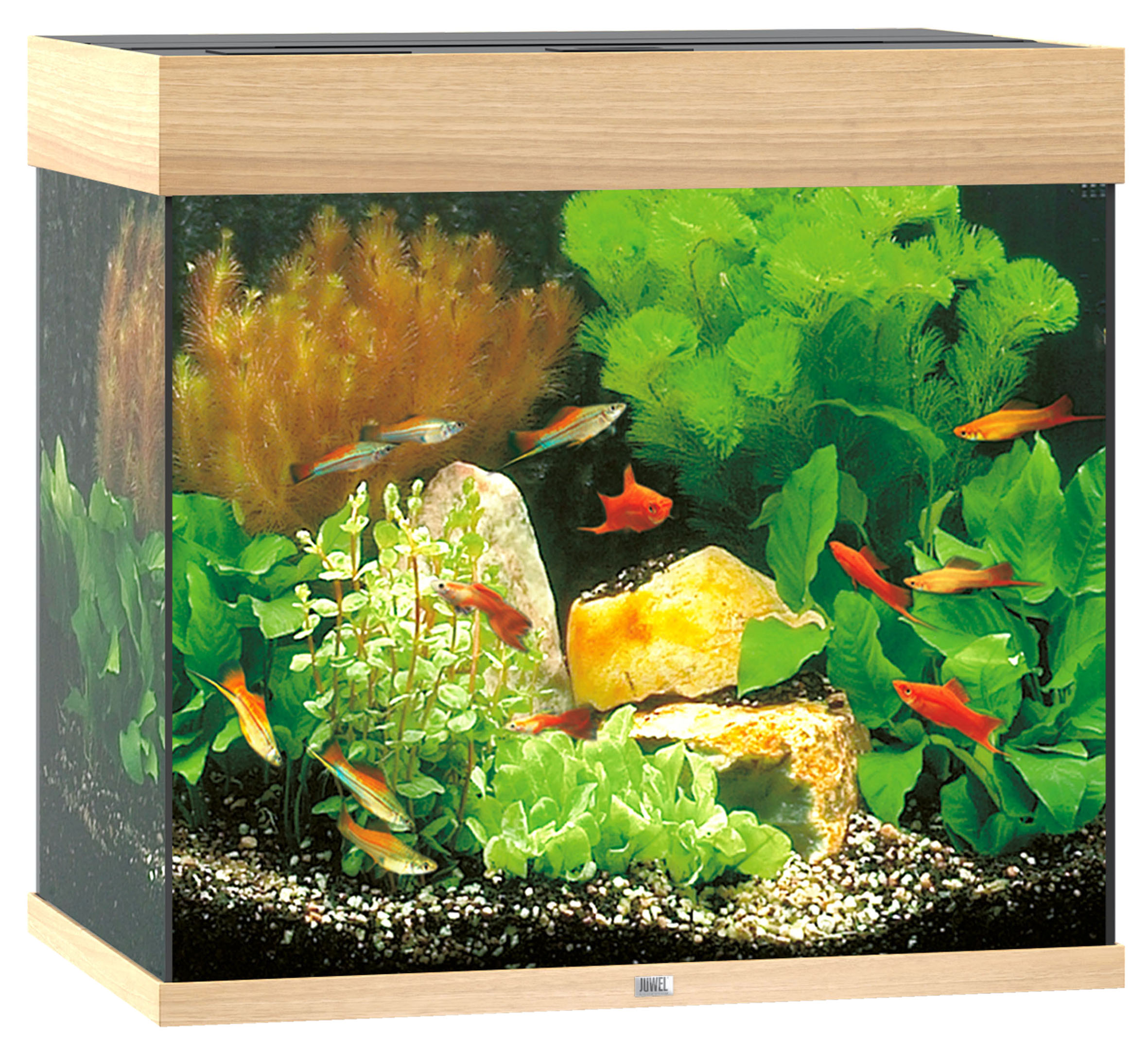 Juwel Aquarium Lido 120, clair