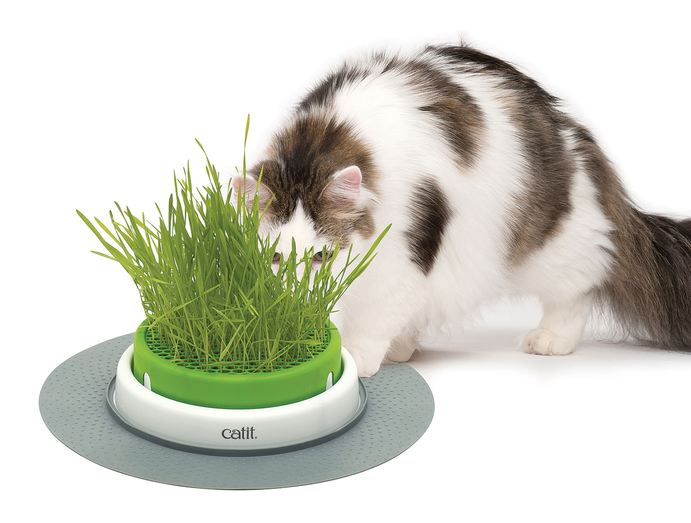 Catit Senses 2.0 Grass Planter