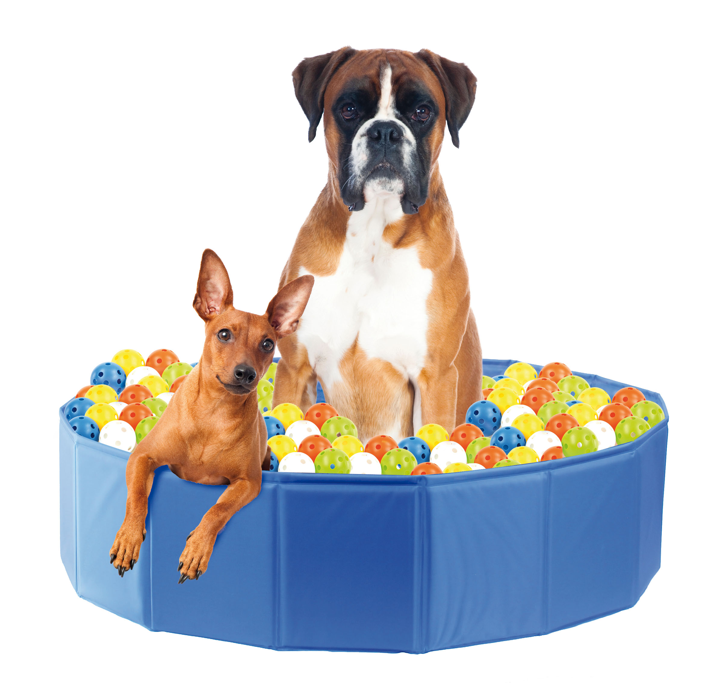 swisspet Trainingsball-Set für Hundepool