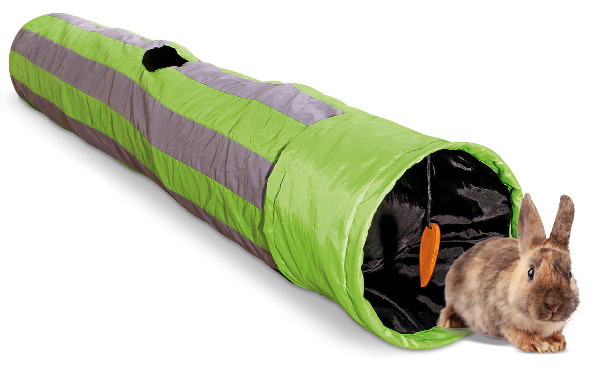 Tunnel de jeu pour rongeurs
