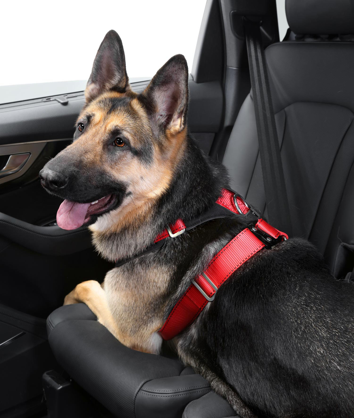 Allsafe Comfort Ceinture de sécurité XL