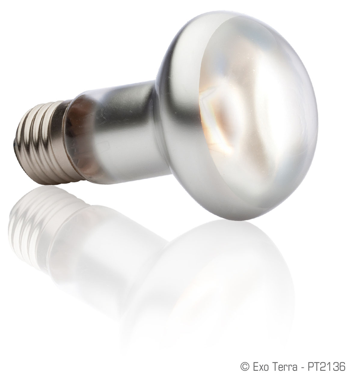 Exo Terra Intense Basking Spot