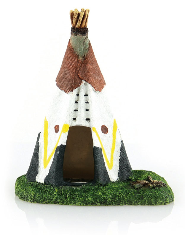 Amazonas Tipi