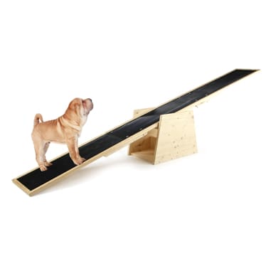 Agility