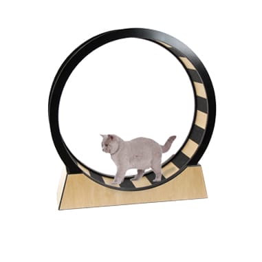 Katzenrad